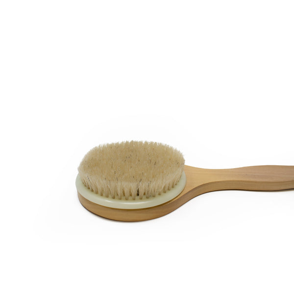 round back brush on white background